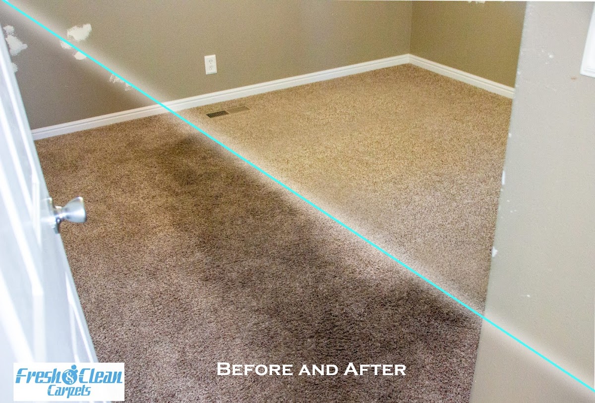 Fresh and Clean Carpets