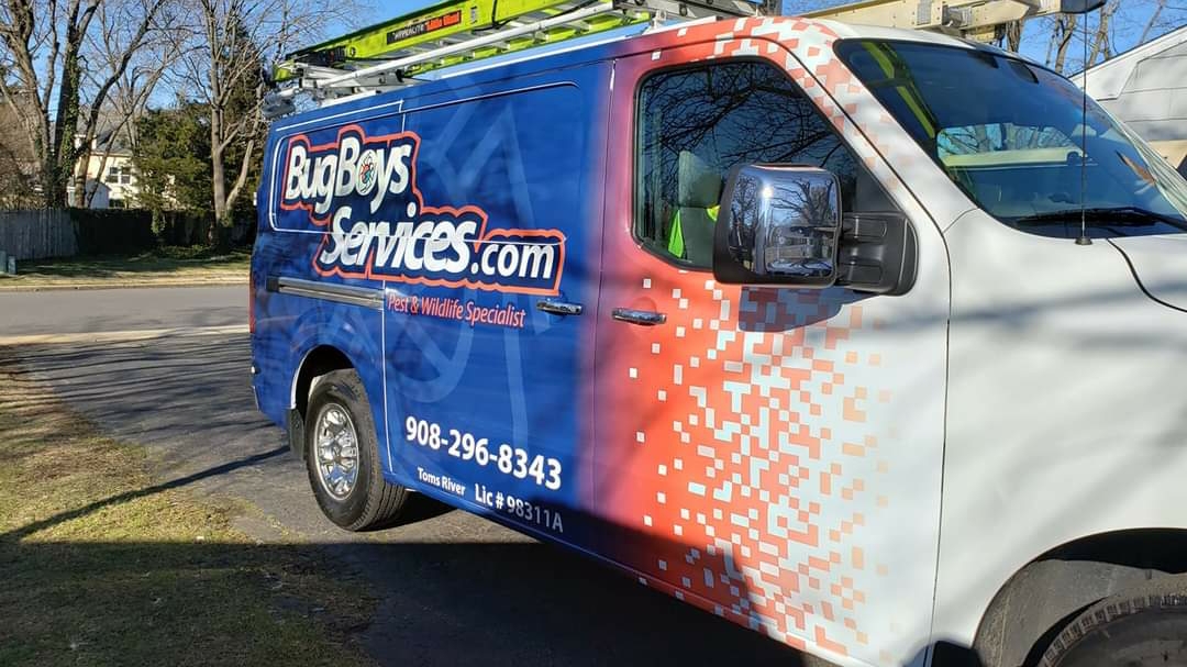Bug Boys Services
