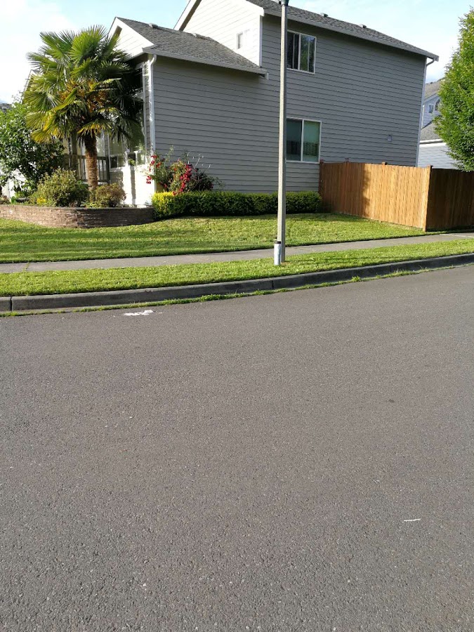 Small Guy Landscaping & Junk Removal