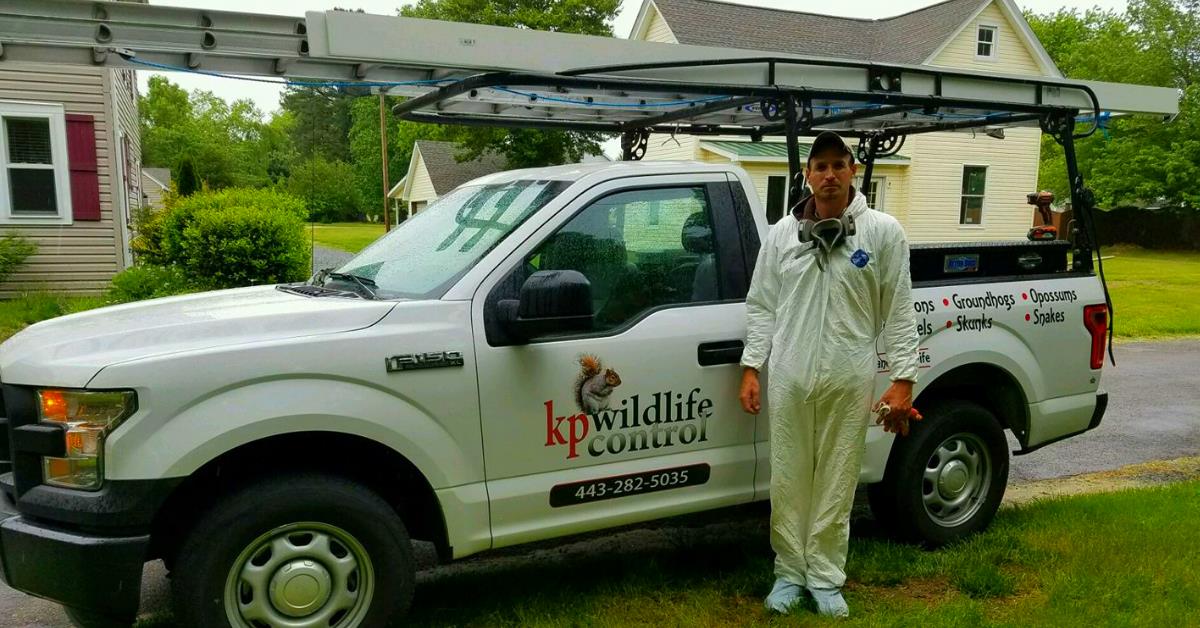 K.P. Wildlife Control and Repairs LLC