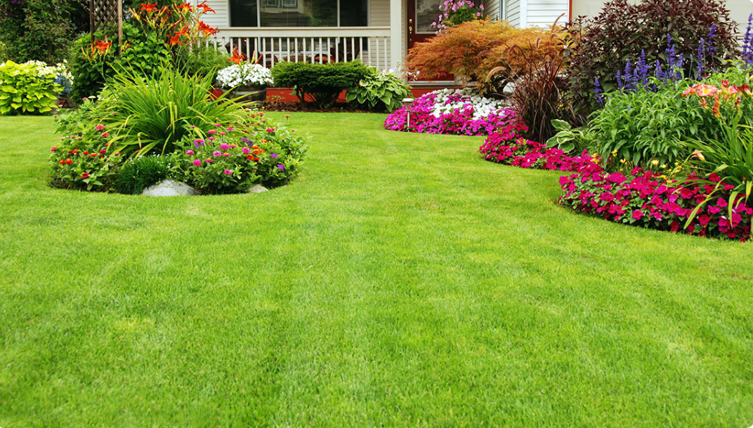 Midwest ProLawn Solutions llc