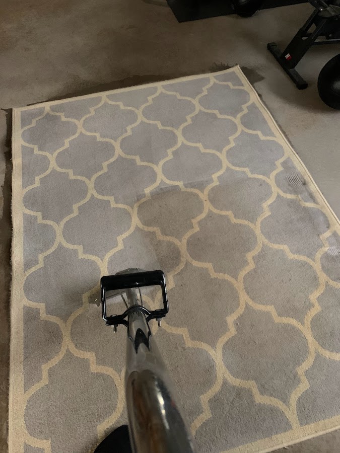 Platinum Carpet Cleaning