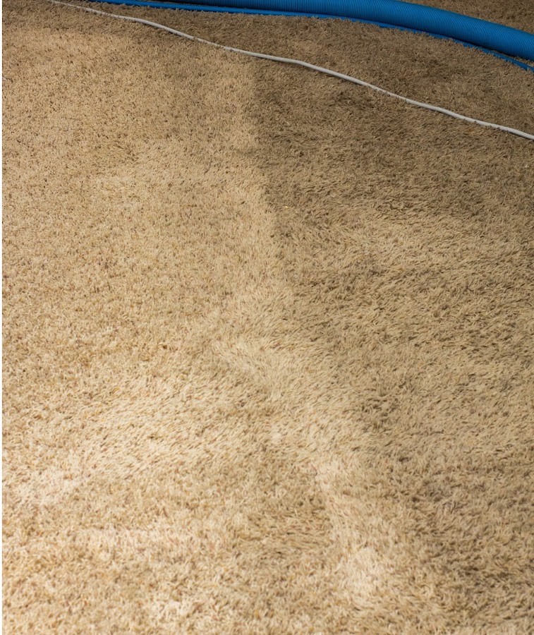 Riley's Carpet Cleaning