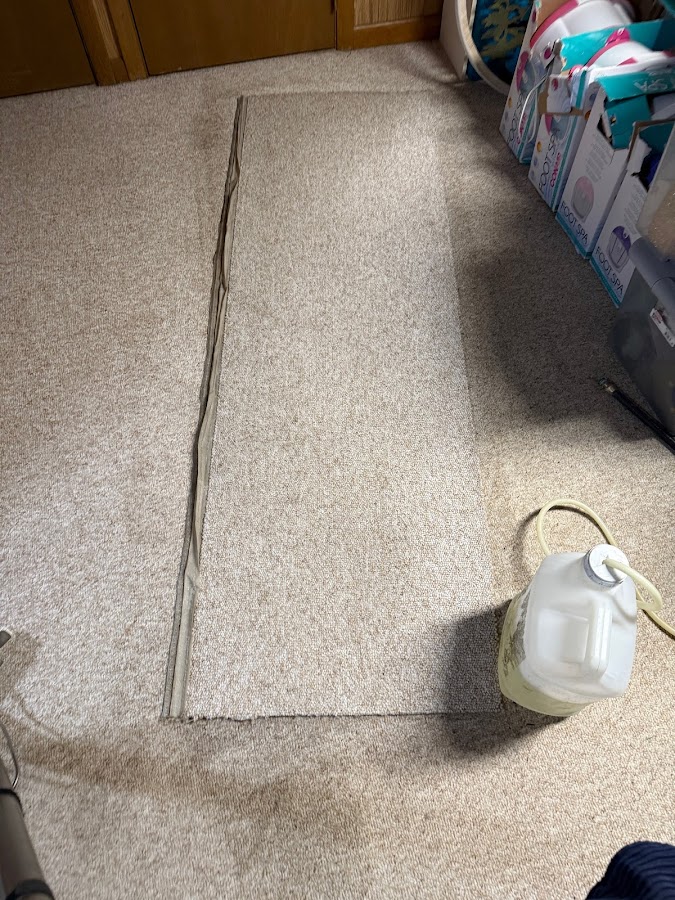 Collins Carpet Cleaning