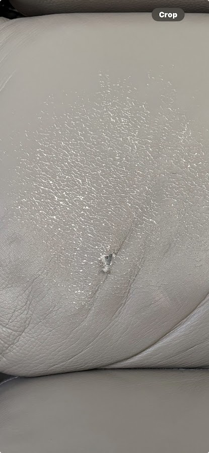 Guardsman Furniture Pro