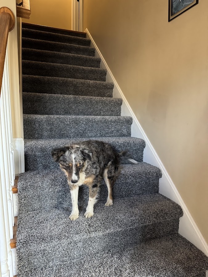 Carroll Floor Covering