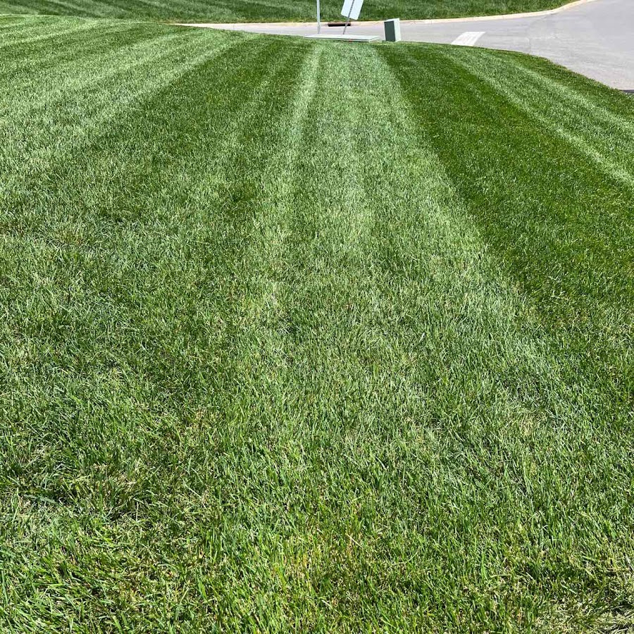 LawnStarter Lawn Care Service
