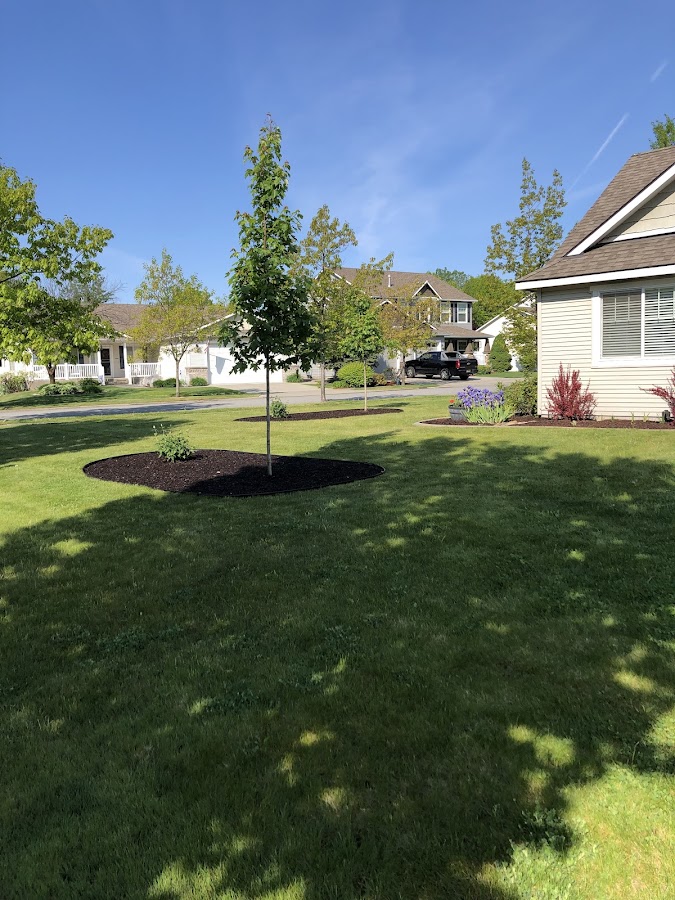 LNW Landscaping, Coeur d’Alene
