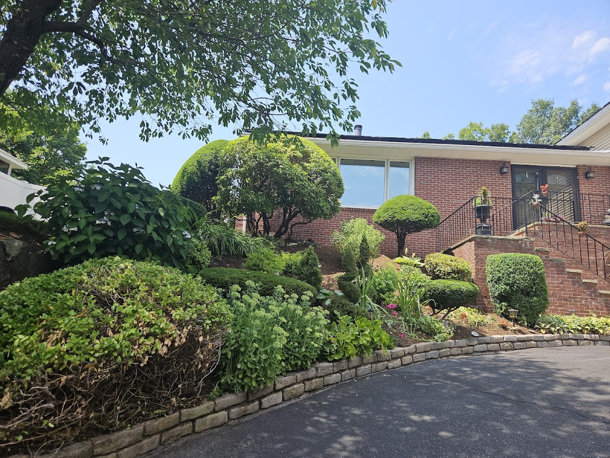 Landscaping & Fencing Mendez M