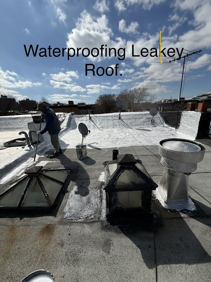 SAS Roofing & Waterproofing