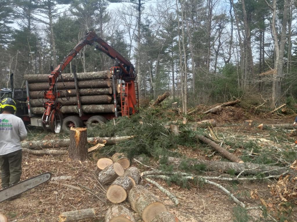 ND Cleaning & Tree Service Inc.