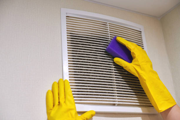 Airesme Air Duct Cleaning Pro's