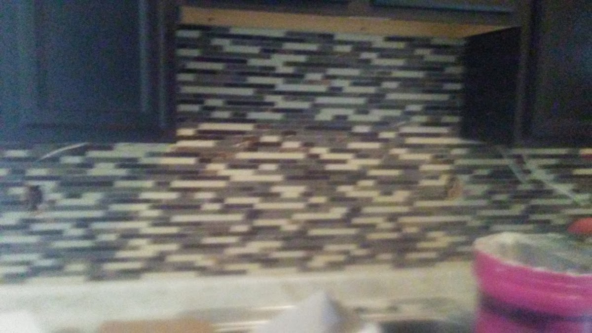 C & T Auto Repair Inc