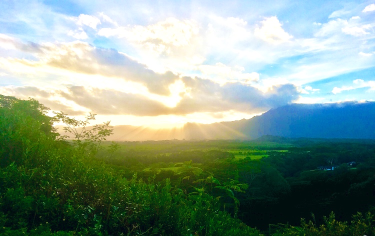 KR Landscaping Kauai