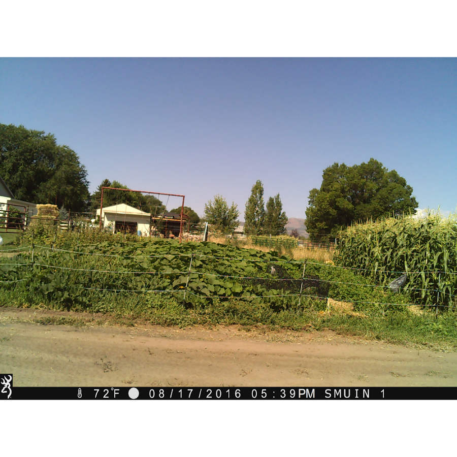 JDS Plumbing - JDS Plumbing Plumber in Vernal, UT photo