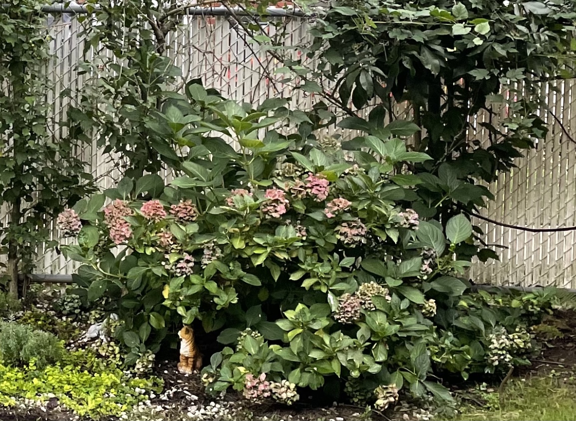 Four Seasons Landscaping