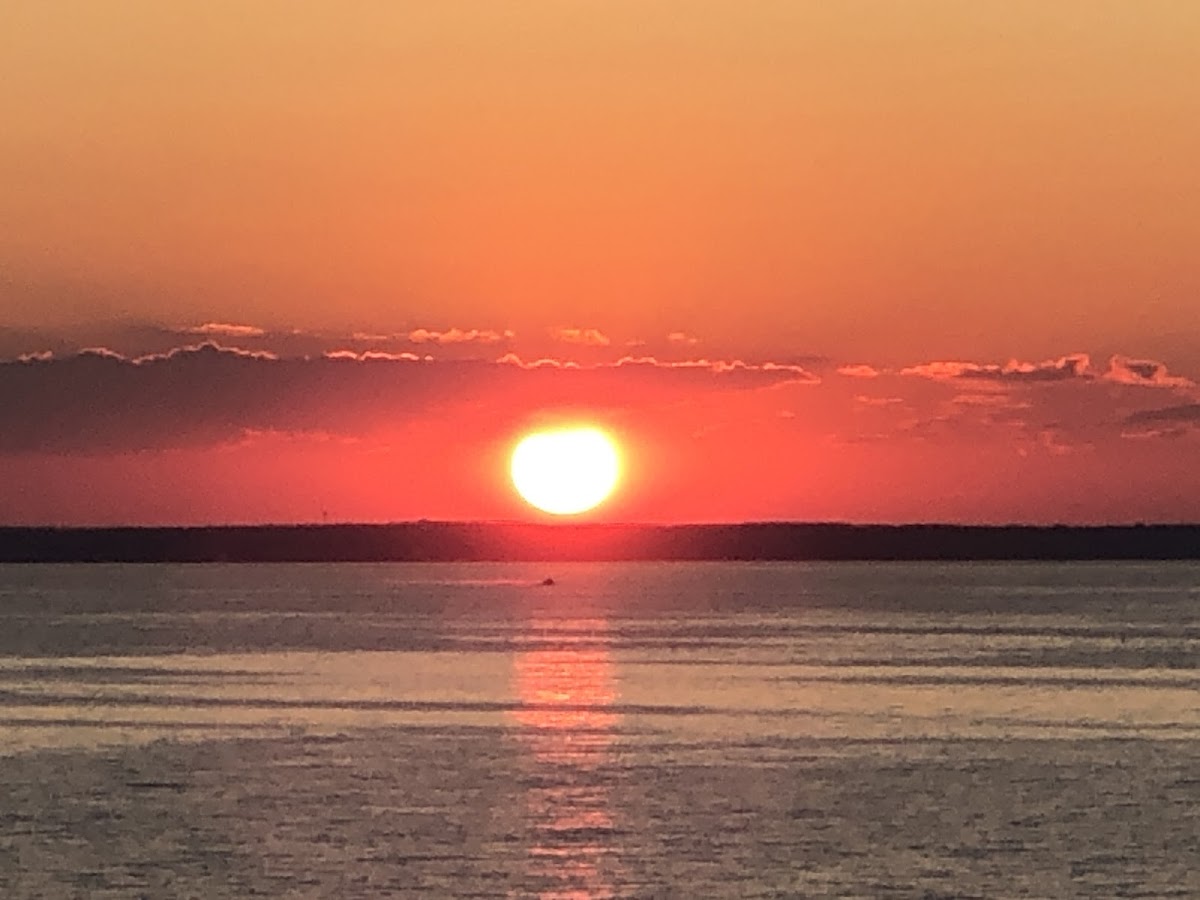 Express Home Repairs Handyman Service - Express Home Repairs Handyman Service Oven Repair in Champaign, IL photo