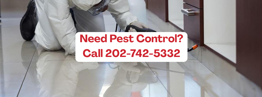 FirstChoice Pest Control