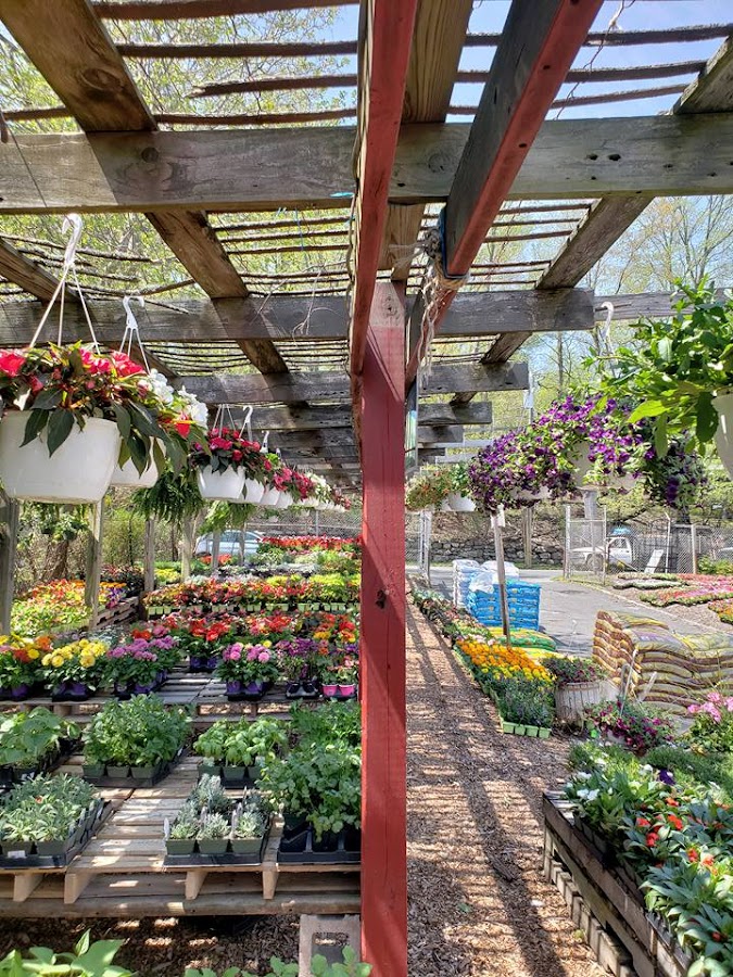 Santelli & Son's Landscape & Tree Care