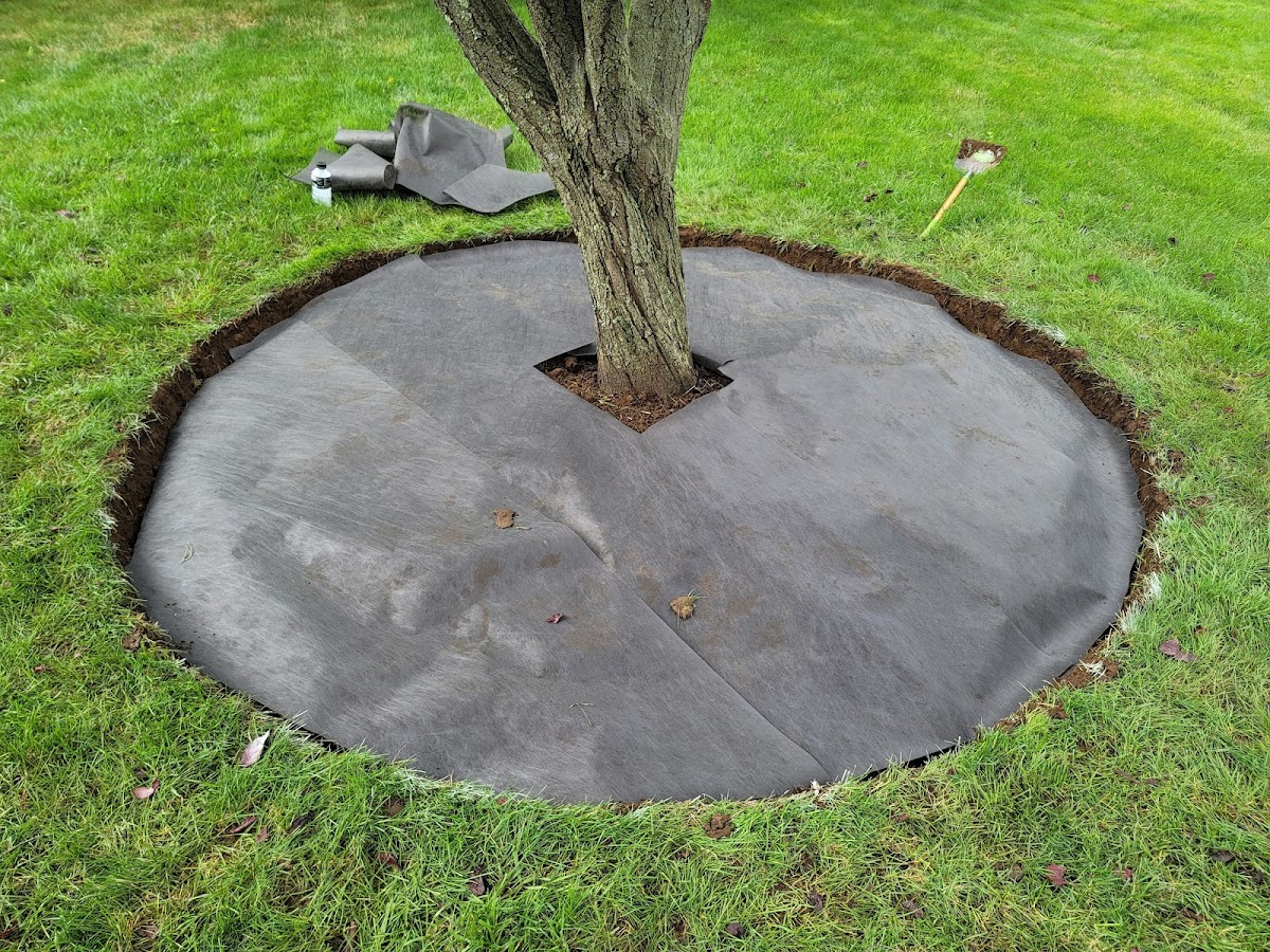 Go Green Landscapers LLC