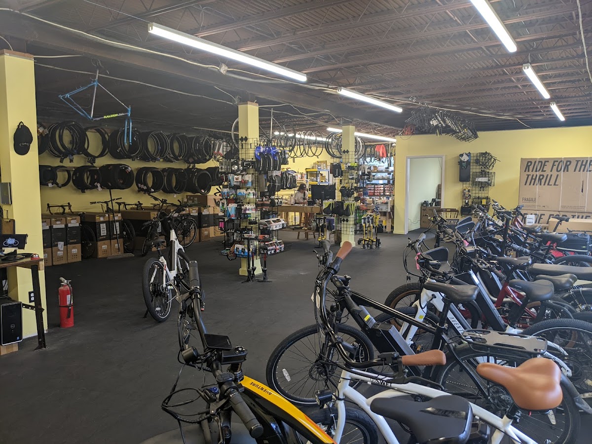 The Freewheel Bike Shop
