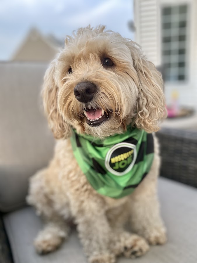 Mosquito Joe of South Central PA