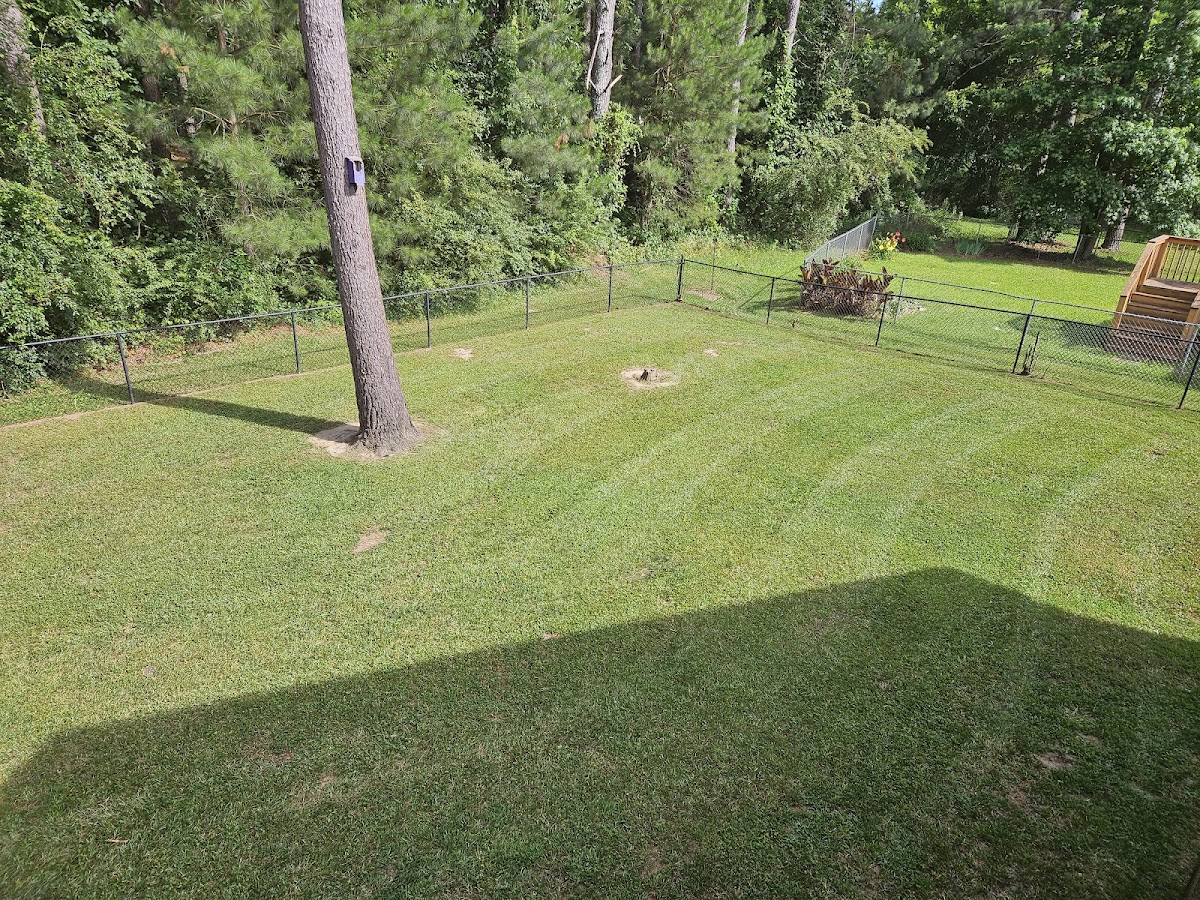 Diamond Grass Landscaping