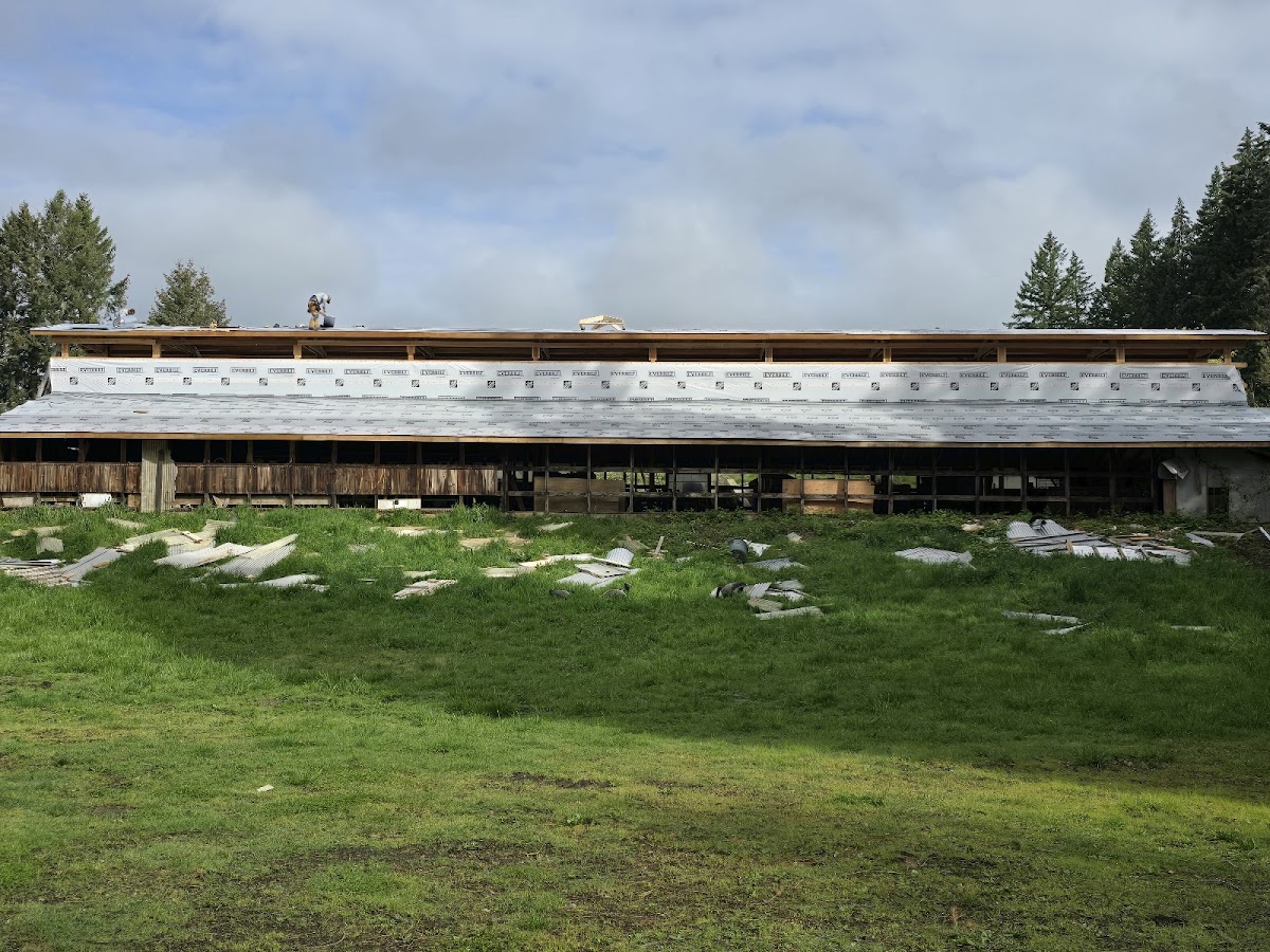 Sky Bright Metal Roofing