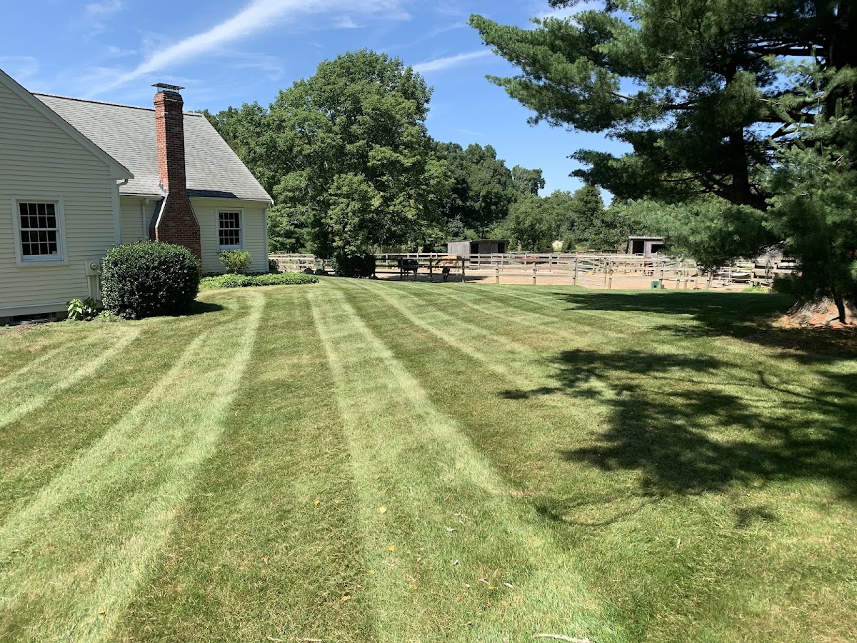 Vieira Landscape & Construction