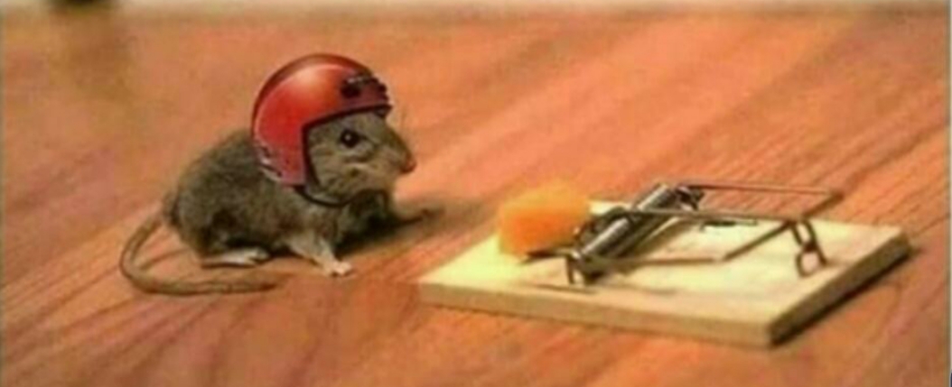 Vantage Green Pest Solutions