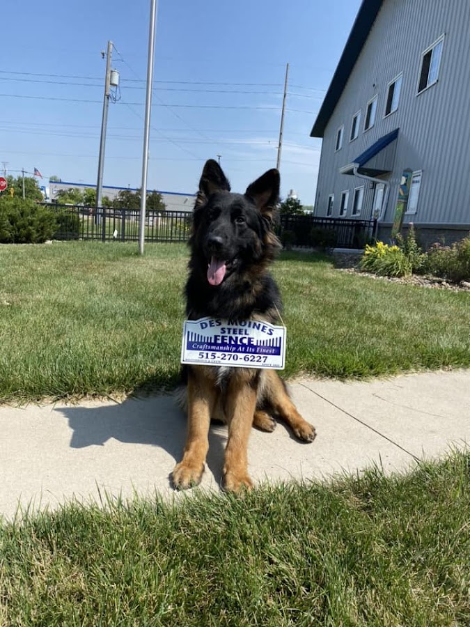 Des Moines Steel Fence Co Inc