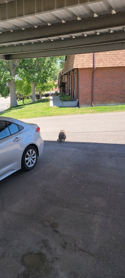 Jefferson County Animal Control