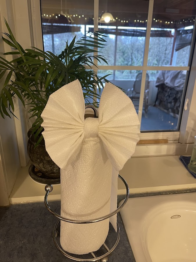 The Cleaning Authority - Johnston