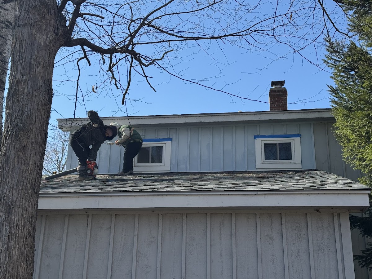 Guayacan Home Improvement