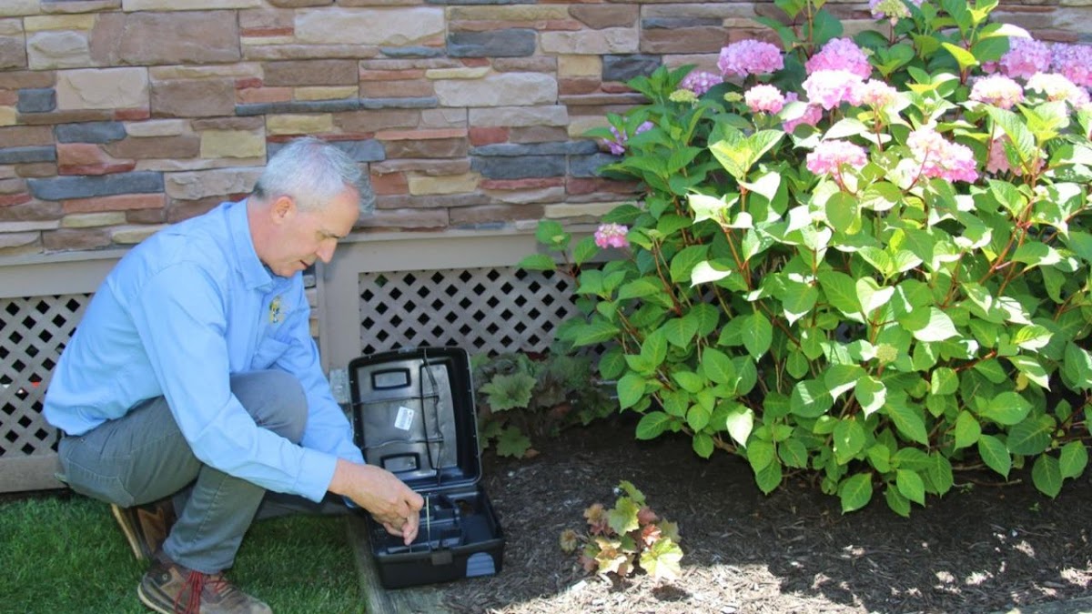 Better Termite & Pest Control