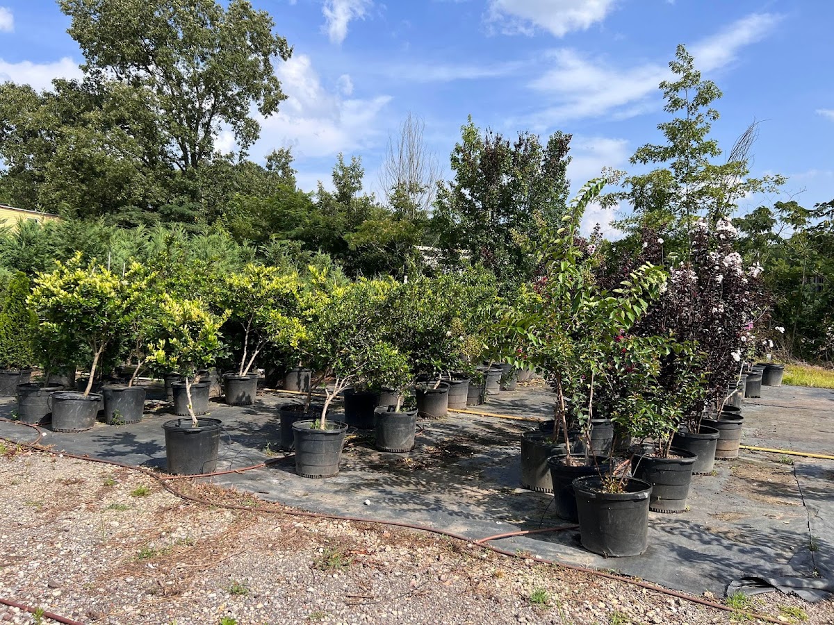 Natural Creations Farms