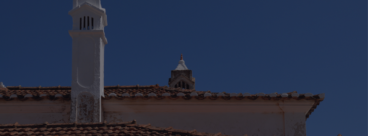 Colon Family Chimney Sweep