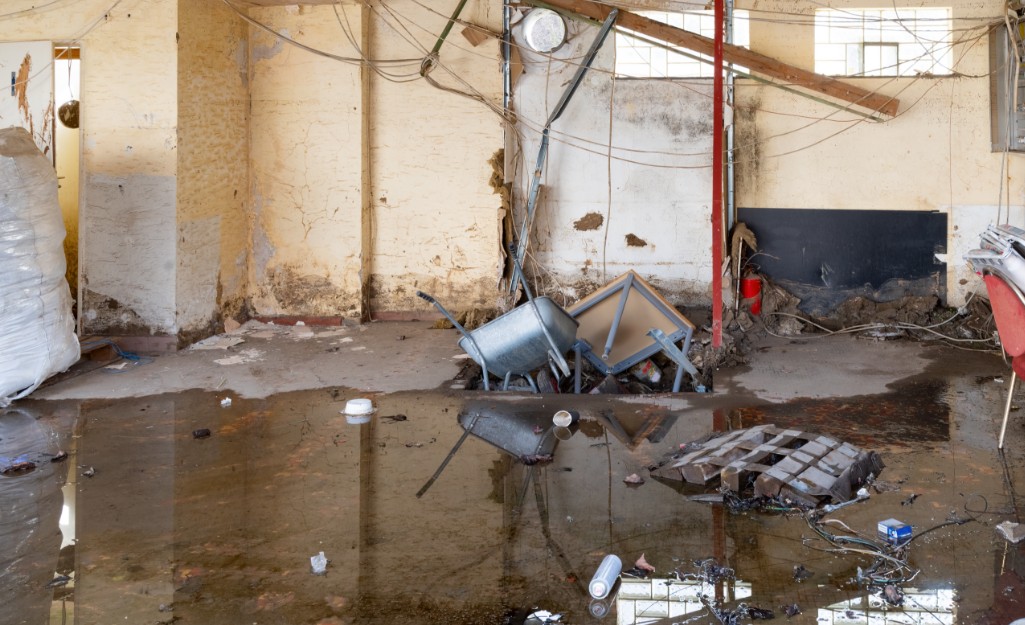 Bush Water Damage Restoration