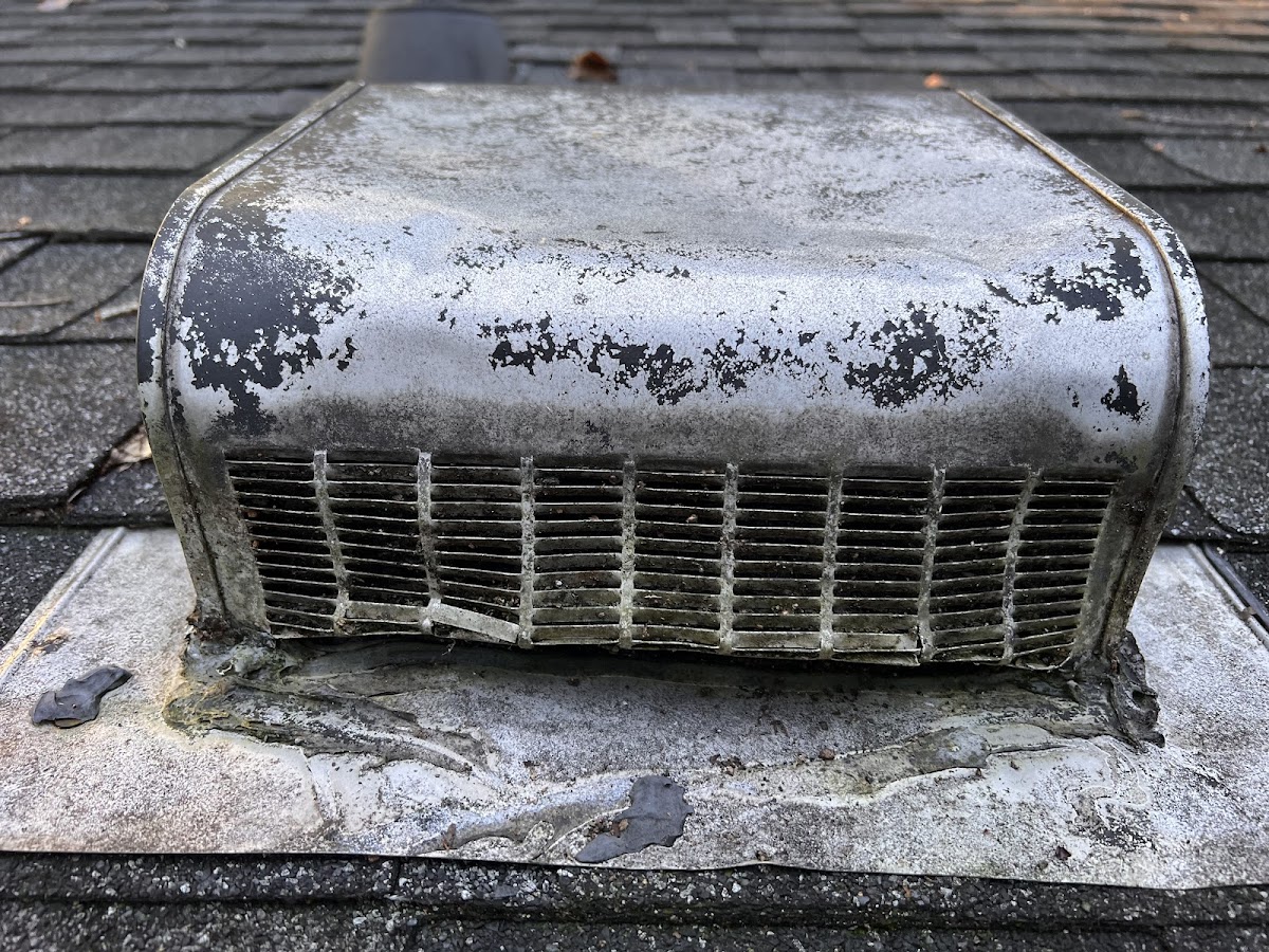 Dryer Vent and Duct Ventz