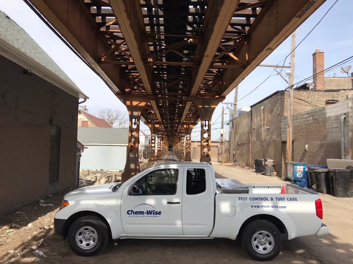 Chem-Wise Pest Management