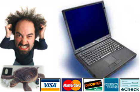 Bay Geeks Computer Services