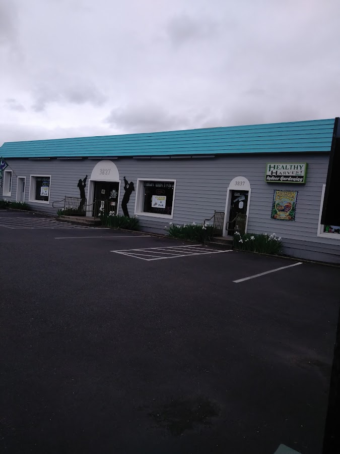 Uptown Music - Uptown Music Instrument Repair in Keizer, OR photo