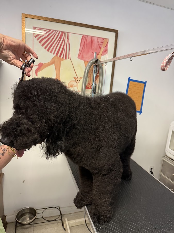 Ram Aluminum Industries