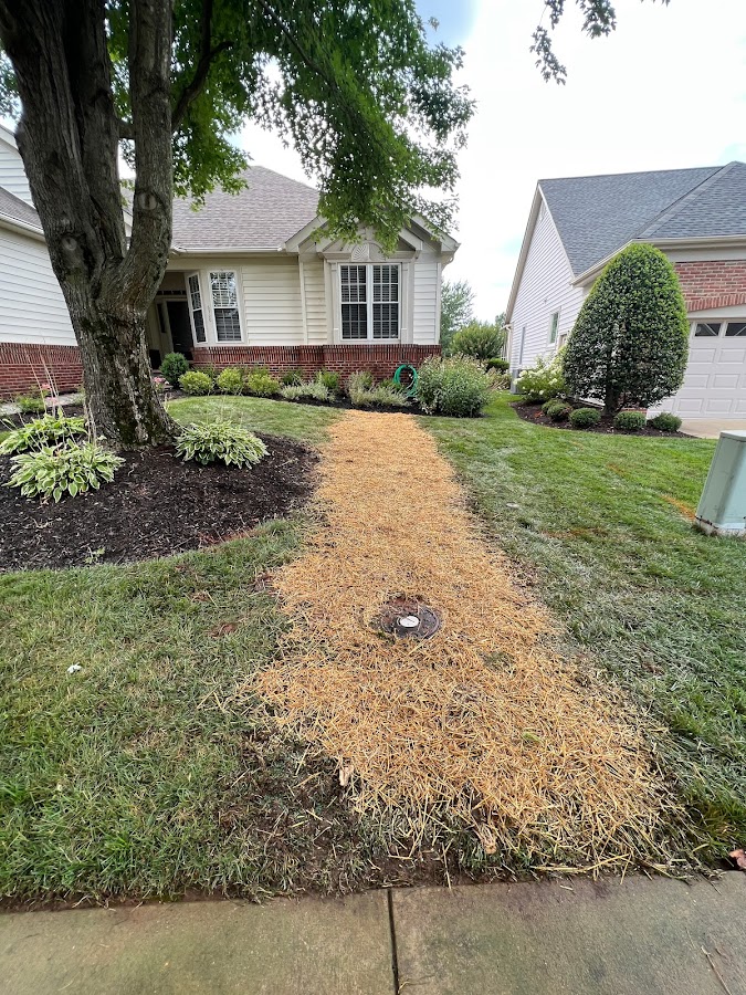 Home Service Pros - Quality Sewer & Drain