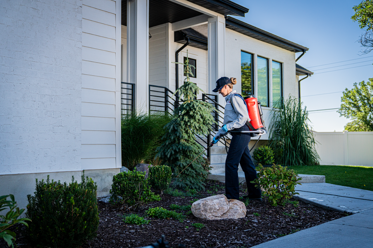 Fox Pest Control Rochester