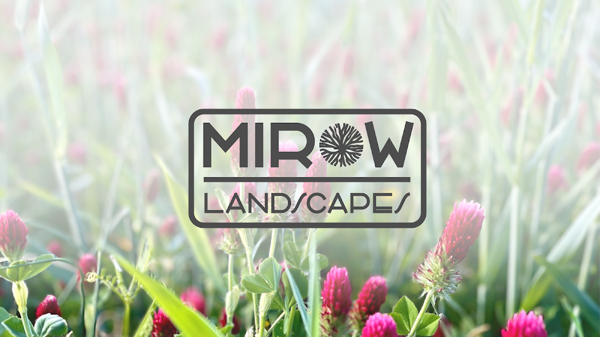 Mirow Landscapes