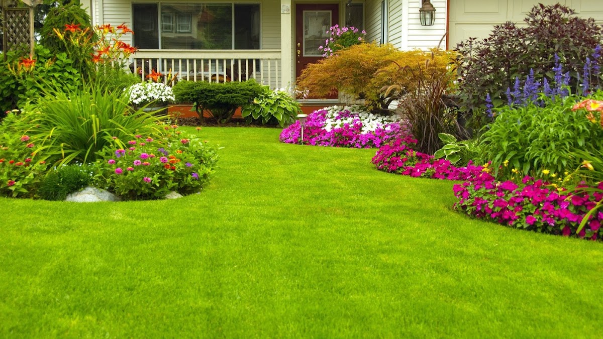 New Generation Landscaping & Fence