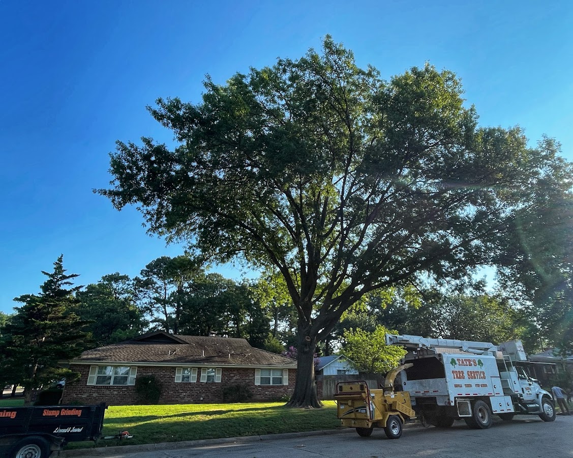Tate’s Tree Service of Bartlesville