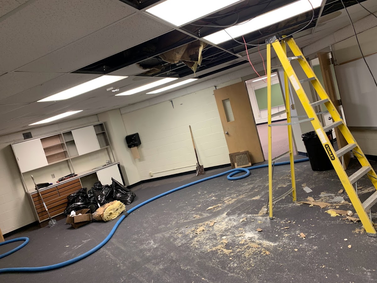 Spectrum Cleaning and Restoration