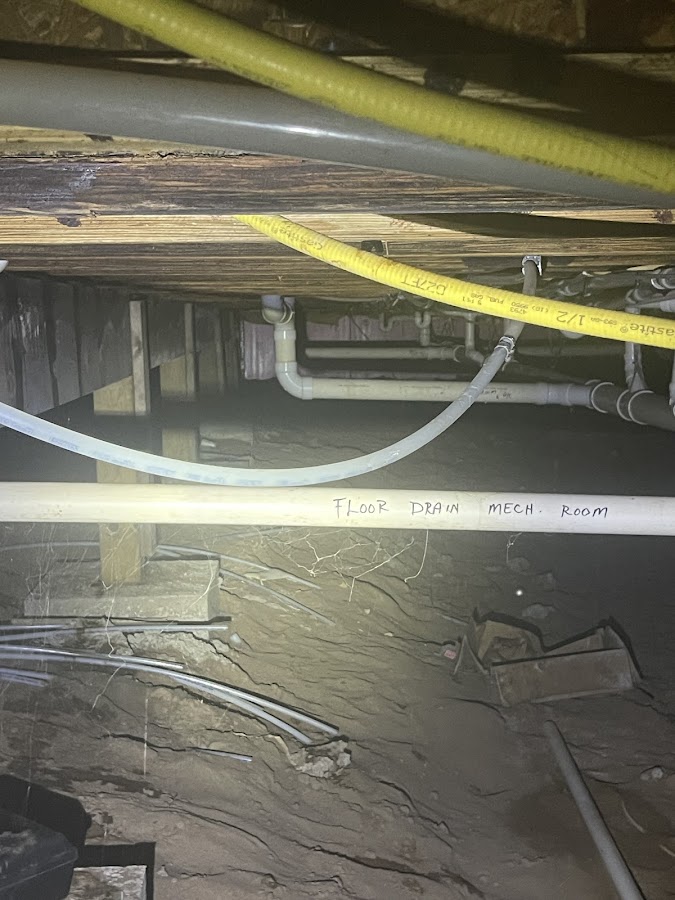 Domestic Plumbing Co